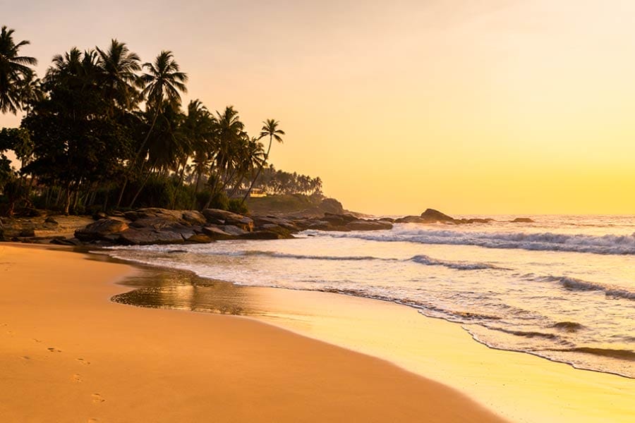 Pacific Island Kava: the Difference Between the Islands and Their Kavas