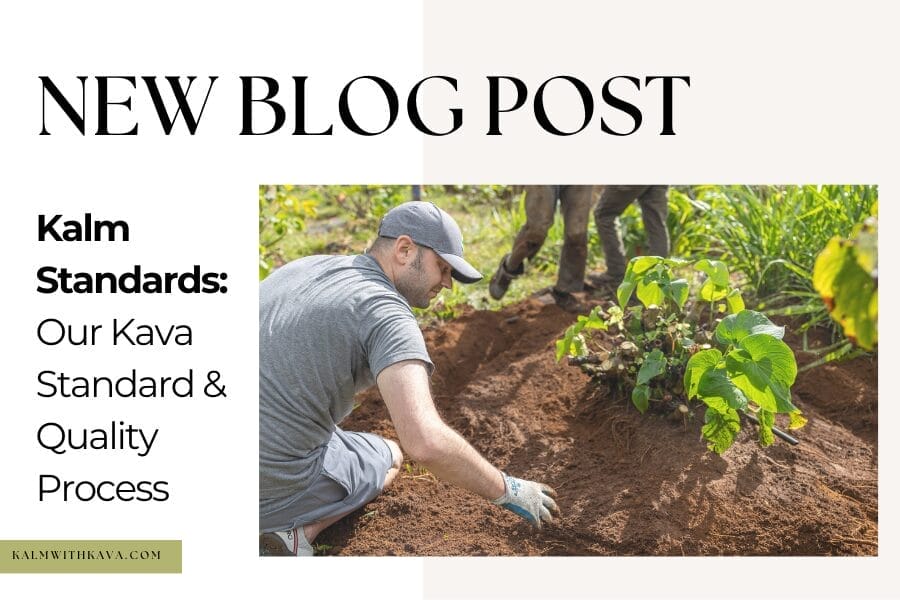 Kalm Standards: Our Kava Standard & Quality Process